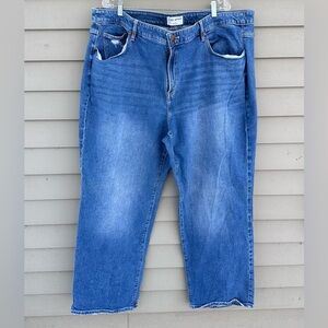 Lane Bryant jeans midrise relaxed straight size signature fit plus size 26